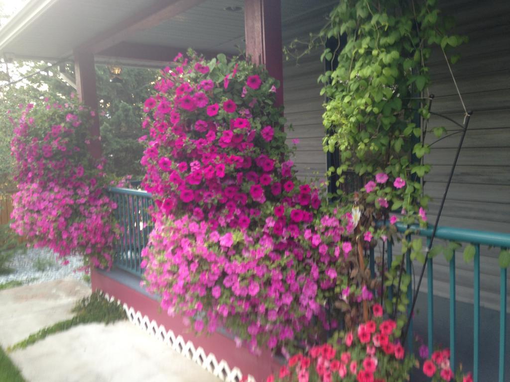 Eagle'S Nest B&B Lake Country Pokój zdjęcie